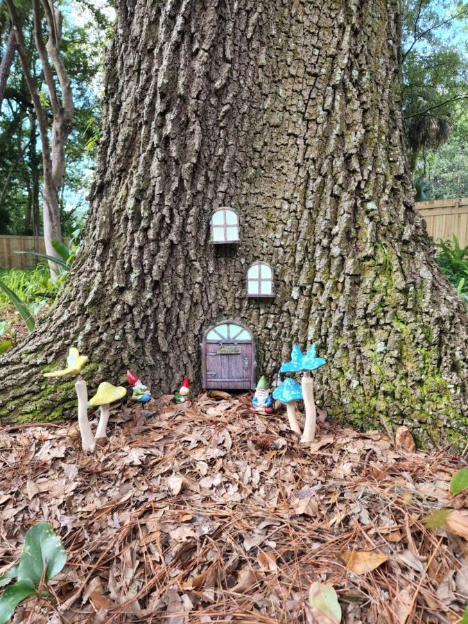 Cozy Hideaway In The Duck Pond Area Of Gainesville Exteriér fotografie